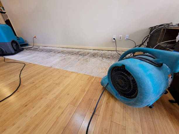 Professional Structural Drying technician working in Toone, TN